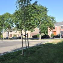 ObjectFoto.44397.4.JPG