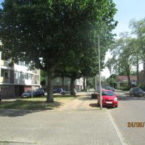 44341_8-anders.jpg